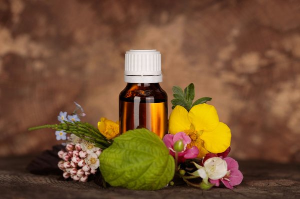 Découvrez les bienfaits des fleurs de bach pour votre bien-être